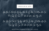 Renegade - Hand Painted Signature Font Template Small Screenshot Renegade - Hand Painted Signature Font