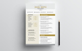 John Smith - Resume Theme Small Screenshot John Smith - Resume Template