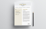 John Smith - Resume Theme Small Screenshot John Smith - Resume Template