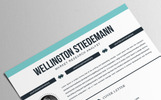 Wellington Stiedemann Modello CV Screenshot piccolo Modello CV #83048 "Wellington Stiedemann"