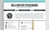 Wellington Stiedemann Modello CV Screenshot piccolo Modello CV #83048 "Wellington Stiedemann"