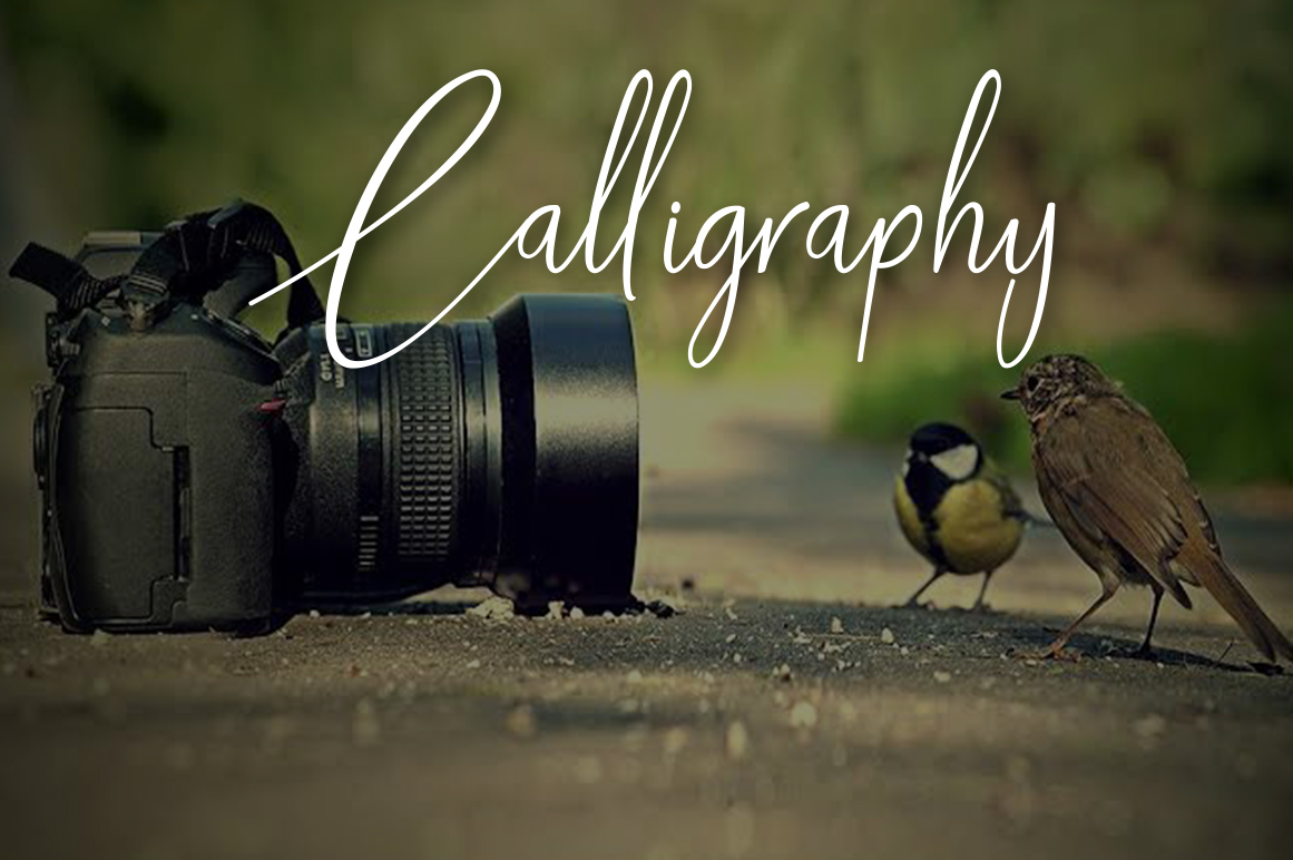 Download Шрифт "Santiago Cursive Font" / Santiago Cursive Font - Шрифт на тему графика font,new,best,bandit,barrel,cowboy,danger,gangster,grunge,gun,illustration,label,modern,poster,retro,smoking,texture,trendy,typeface,vintage