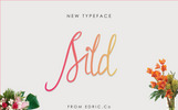 Sild Beauty Lettertype thema Klein Screenshot "Sild Beauty" Lettertype