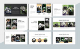 Animal Charity MS PPTX Theme Small Screenshot Animal Charity PowerPoint Template