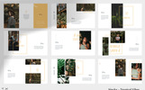 Sincka - Tropical Vibes Good Presentation Theme Small Screenshot Sincka - Tropical Vibes PowerPoint Template
