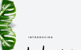 Delphina | Beauty Script Font Font Template Small Screenshot Delphina | Beauty Script Font Font