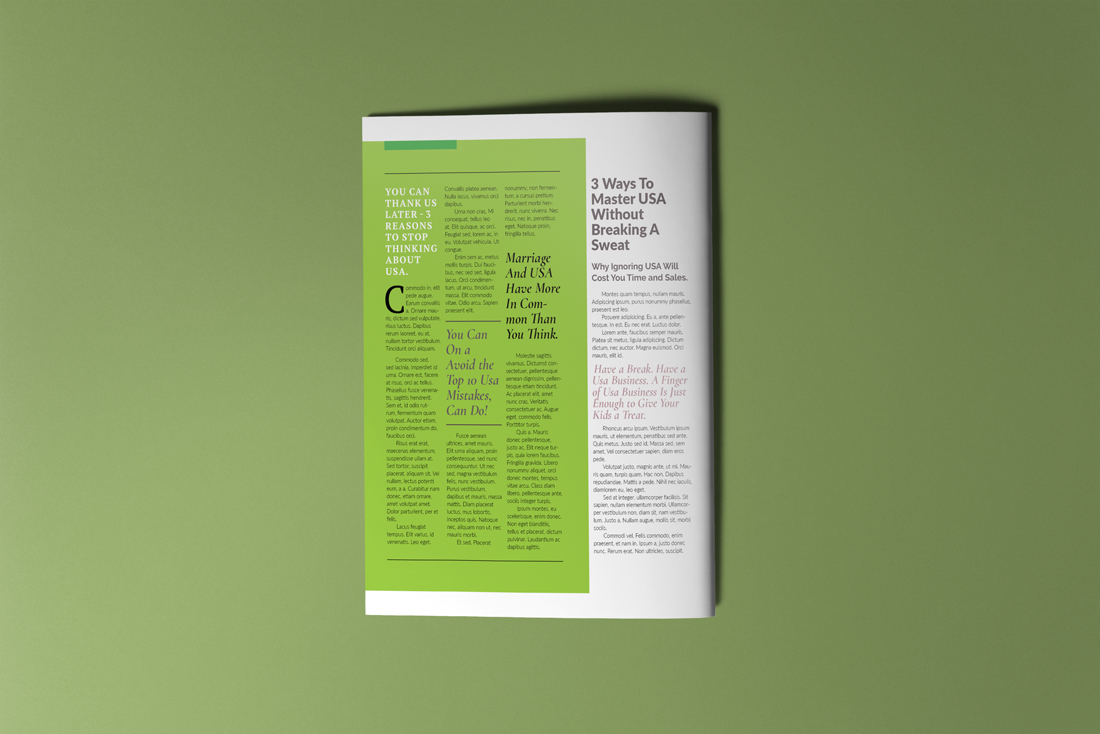 Download Фирменный стиль "Business Newsletter  #04" / Business Newsletter  #04 - Фирменный стиль на тему графика newsletter,a4,business,journal,report,company,brochure,profile,newspaper,magazine,indesign,layout