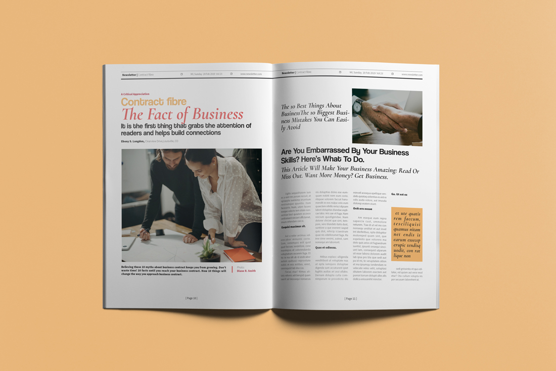 Download Фирменный стиль "Business Newsletter #3" / Business Newsletter #3 - Фирменный стиль на тему графика newsletter,indesign,business,corporate,company,brochure,magazine,layout,profile,proposal,international,creative,graphic,design,cmyk,layered,a4,realestate,newspaper,advertising