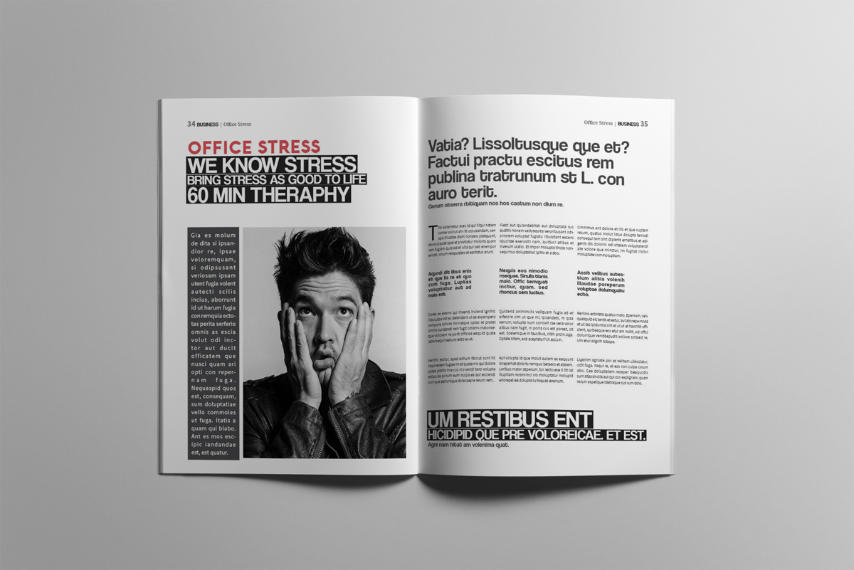 Download Magazine Template "Business Magazine Template" / Business Magazine Template - Magazine Template на тему графика business,magazine,journal,newsletter,brochure,layout,indesign,corpotate,marketing,promotion,annual,report,creative,a4