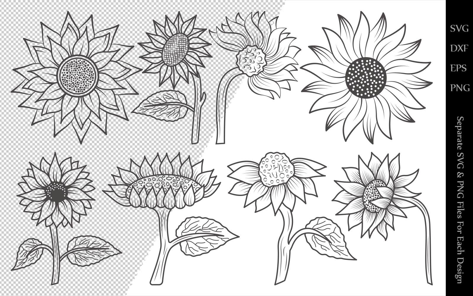 Download Иллюстрация "Sunflower Outline Bundle Drawings - Illustration" / Sunflower Outline Bundle Drawings - Illustration - Иллюстрация на тему графика sunflower,flower,floral,leaves,plant,design,svg,dxf,eps,png,clipart,cricut,cut,file,line,drawing,sketch,wreath,botanical,illustration