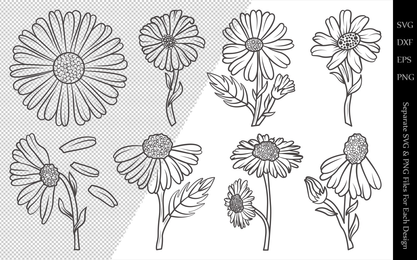 Download Иллюстрация "Daisy Flower Outline Bundle Drawings - Illustration" / Daisy Flower Outline Bundle Drawings - Illustration - Иллюстрация на тему графика daisy,flower,floral,leaves,plant,design,svg,dxf,eps,png,clipart,cricut,cut,file,line,drawing,sketch,wreath,botanical,illustration