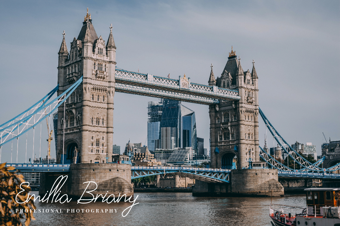 Download Шрифт "Brittish State" / Brittish State - Шрифт на тему графика branding,fashion,handwriting,handwritten,logo,script,typography,vintage,signature