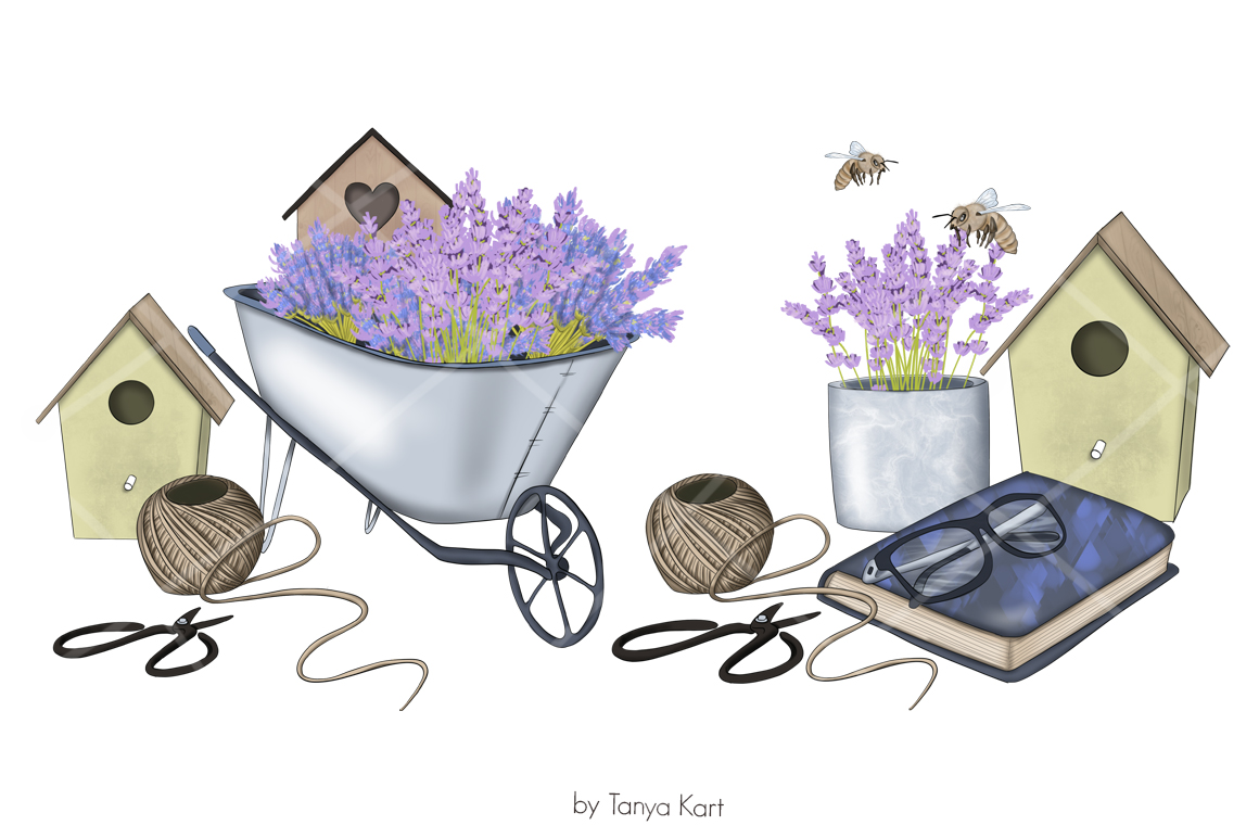 https://s3u.tmimgcdn.com/2230176-1584790552666_lavender5.jpg