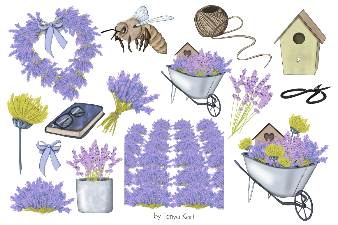 https://s3u.tmimgcdn.com/2230176-1584790557162_lavender6.jpg