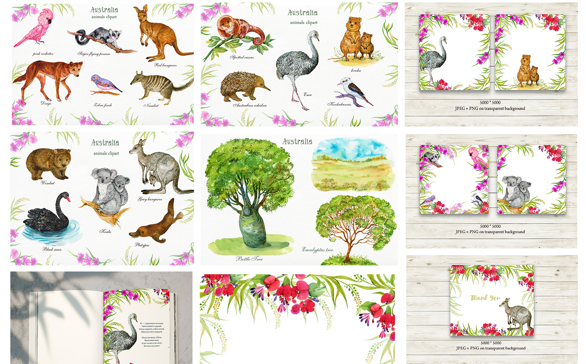Download Иллюстрация "Animals Australia Watercolor - Illustration" / Animals Australia Watercolor - Illustration - Иллюстрация на тему графика animals,characters,australia,clipart,watercolor,cockatoo,red,kangaroo,bundle,australian-animal,wombat,dingo,echidna,sugar,possum,emu,nambat,flowers,png,animal