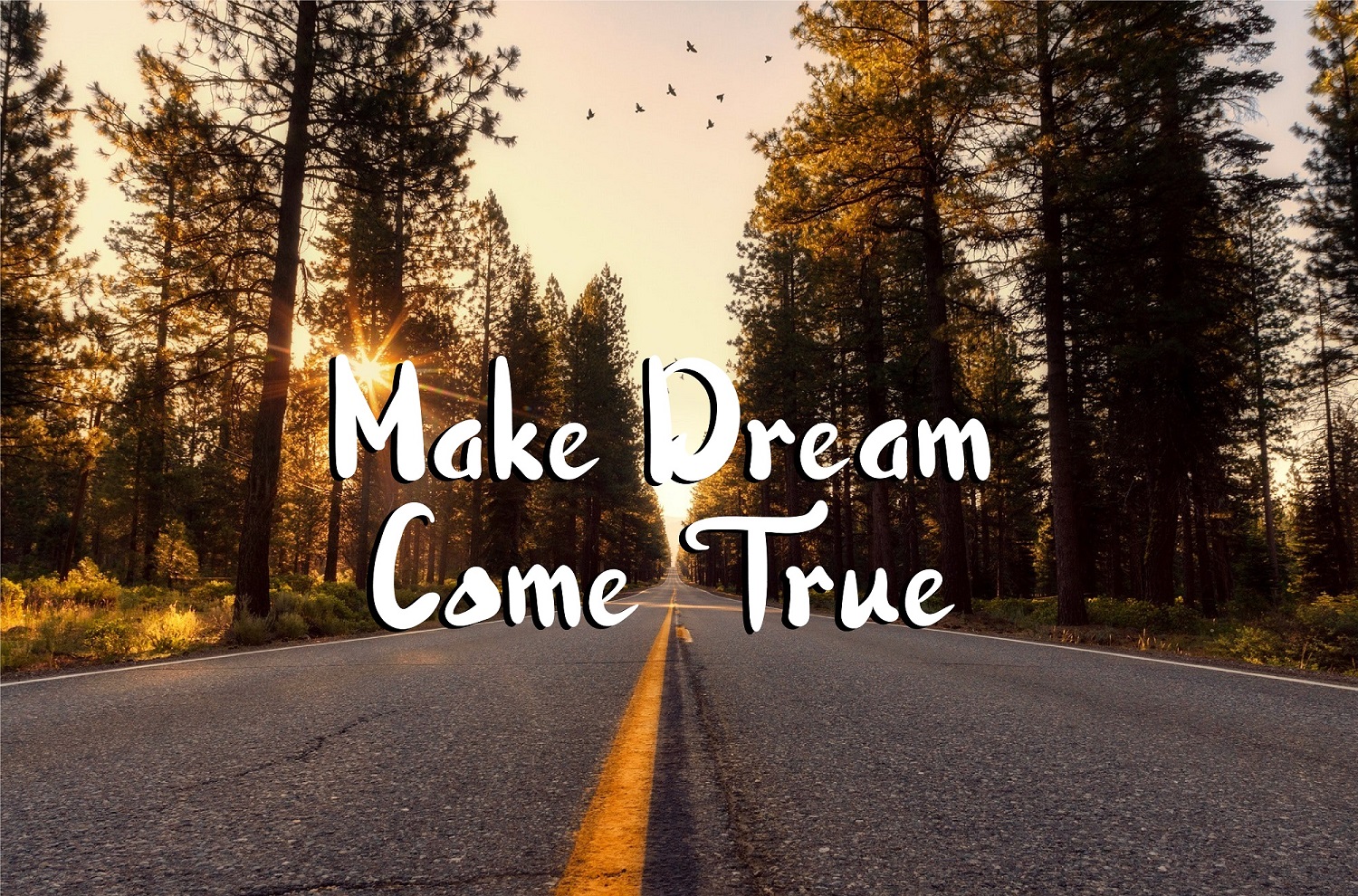 Download Шрифт "Nattanio A Modern Display Font" / Nattanio A Modern Display Font - Шрифт на тему графика branding font,cool font,sweet font,elegant font,fashion font,feminine font,handwriting font,handwritten font,minimalist font,modern font,quote font,signature font,stylish font,brush,festival 