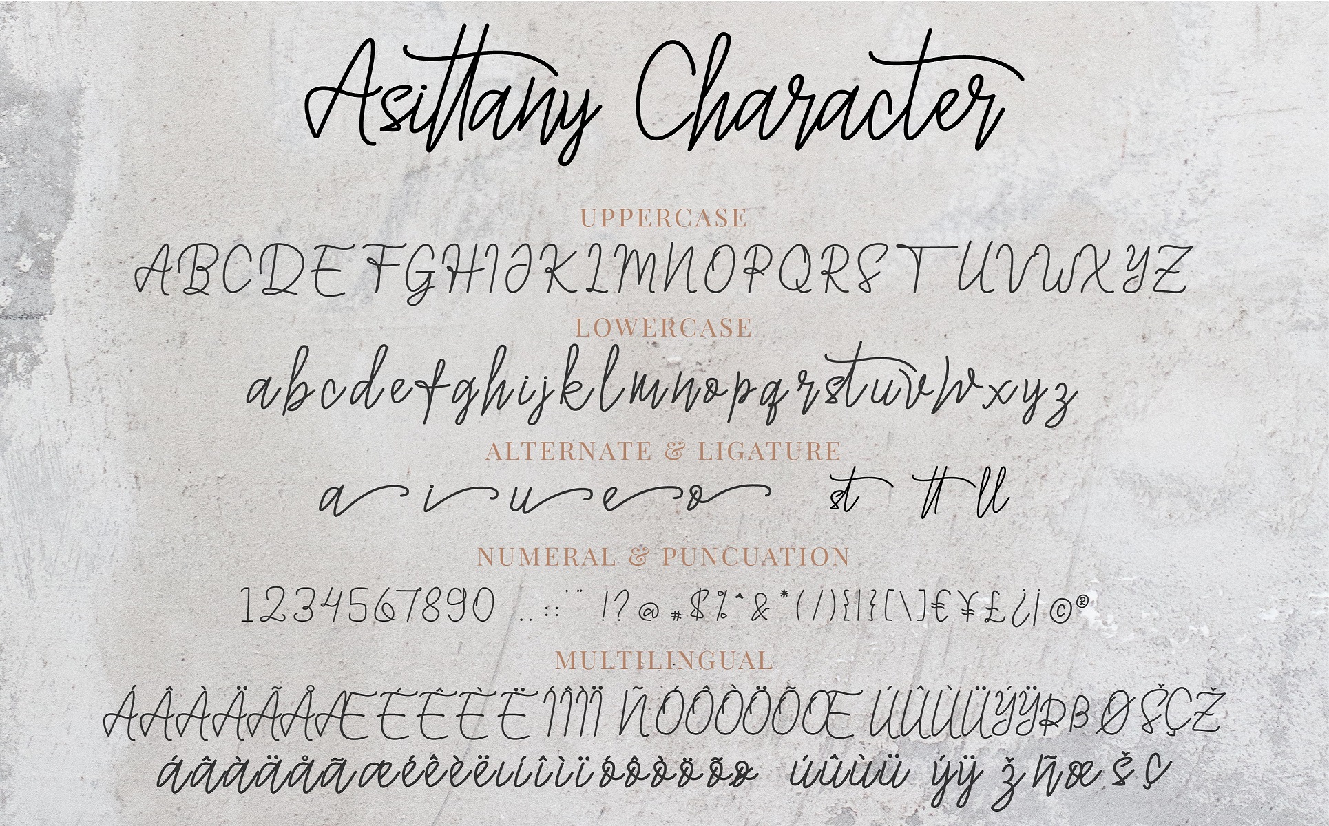 Download Шрифт "Asittany - A Handwritten Font" / Asittany - A Handwritten Font - Шрифт на тему графика brandingbrand,designbranding,fontsbranding,typefacebrand,logobrandmarkbrand,namecosmetic,header script,fonthandwriting,handwritten,ligature,modern,elegant,fancy,brush,handlettering,book,cover