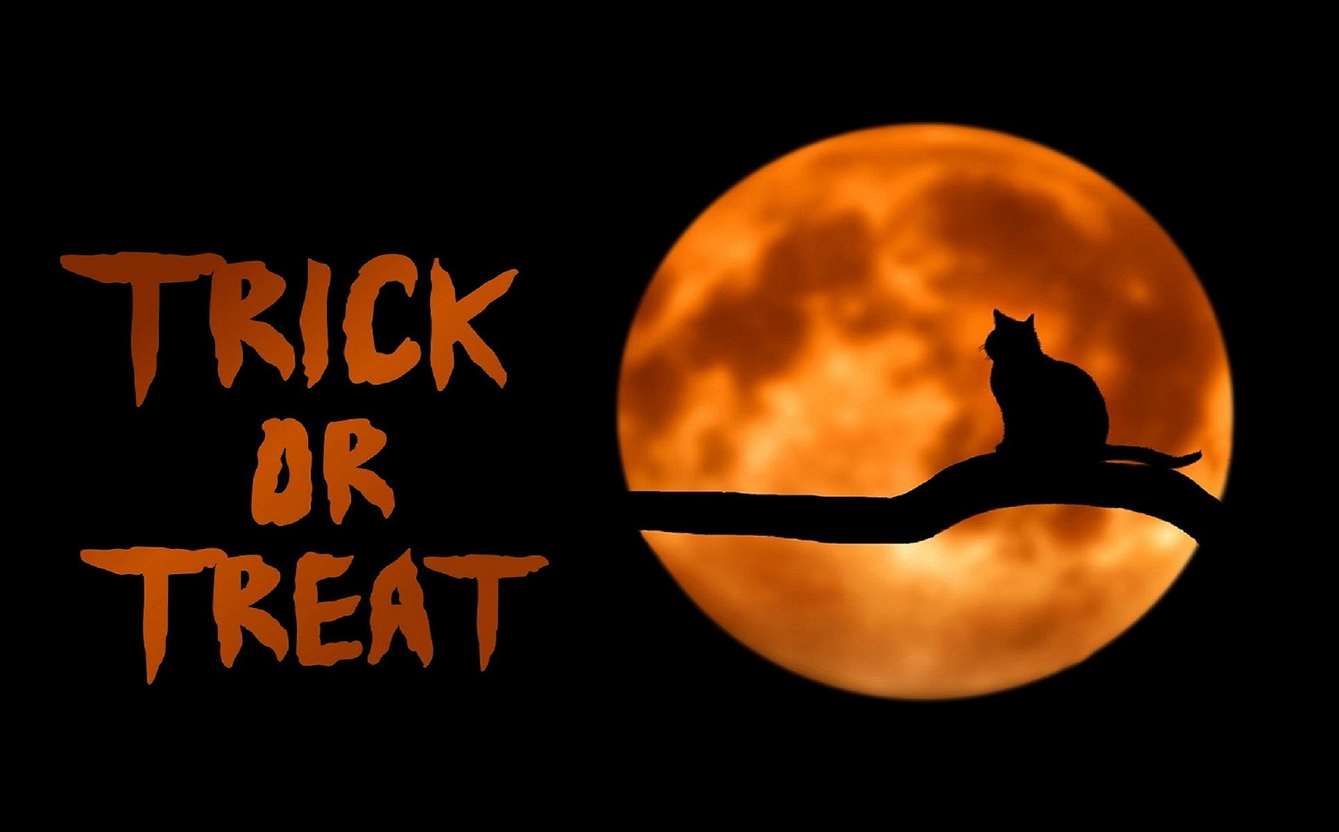 Download Шрифт "Ballowien - Horor Display Font" / Ballowien - Horor Display Font - Шрифт на тему графика font,horror,display,halloween,background,text,vector,illustration,design,poster,happy,type,celebration,spooky,typography,card,banner,holiday,party,october