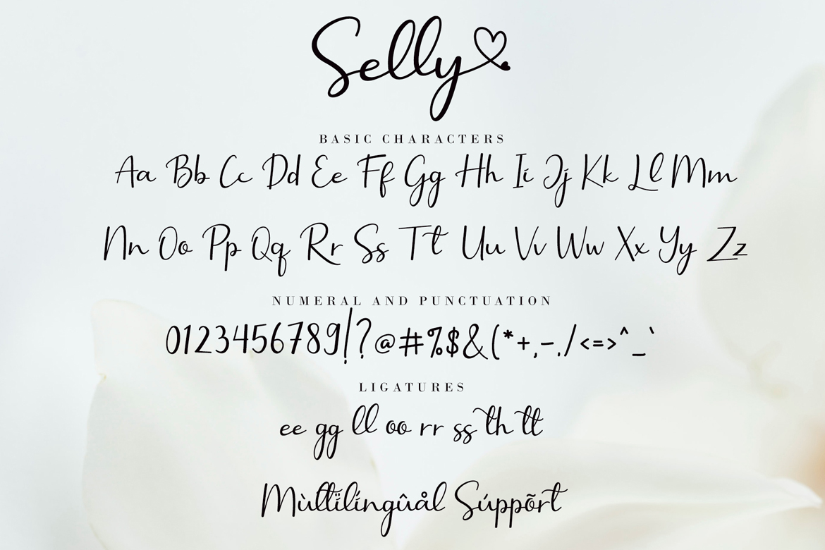 Download Шрифт "Selly Calligraphy Font" / Selly Calligraphy Font - Шрифт на тему графика script,handwritten,modern,clean,calligraphy,wedding,branding,heading,business