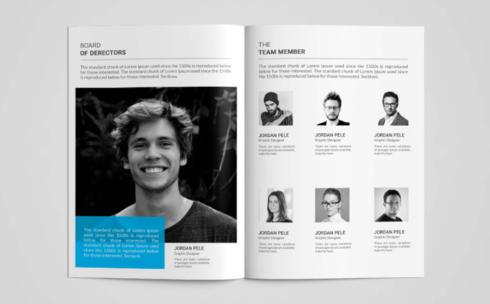 Download Фирменный стиль "Company Brochure - Corporate Identity Template" / Company Brochure - Corporate Identity Template - Фирменный стиль на тему графика a4,agency,book,brand,branding,brochure,business,clean,company,company profile,corporate,creative,design,identity,indesign,letter,marketing,modern,professional,proposal