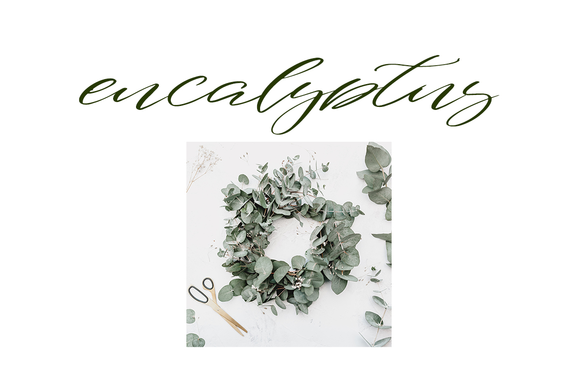 Download Шрифт "Saiquiry Font" / Saiquiry Font - Шрифт на тему графика font,handwritten