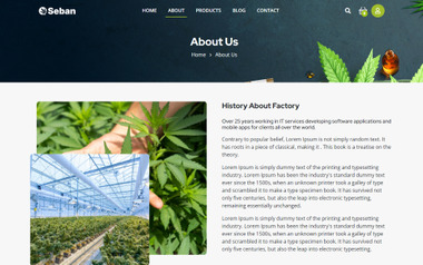 cannabis uk online