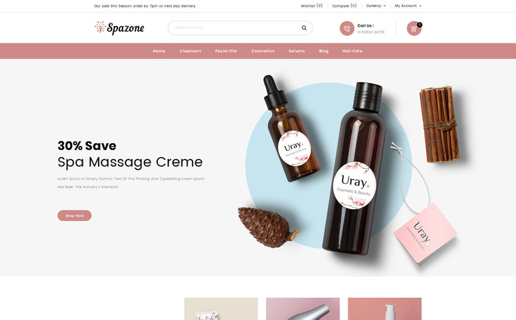 SpaZone Massage Parlour Shopify Theme #84630