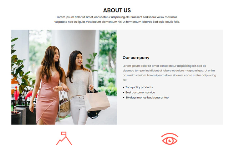 Plashbag The Bag and Fashion Responsive Shopify Theme #112795