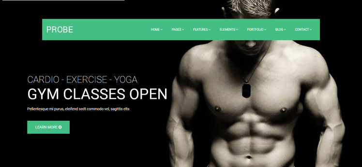 Probe - Responsive Multipurpose Joomla 5 Template #78760