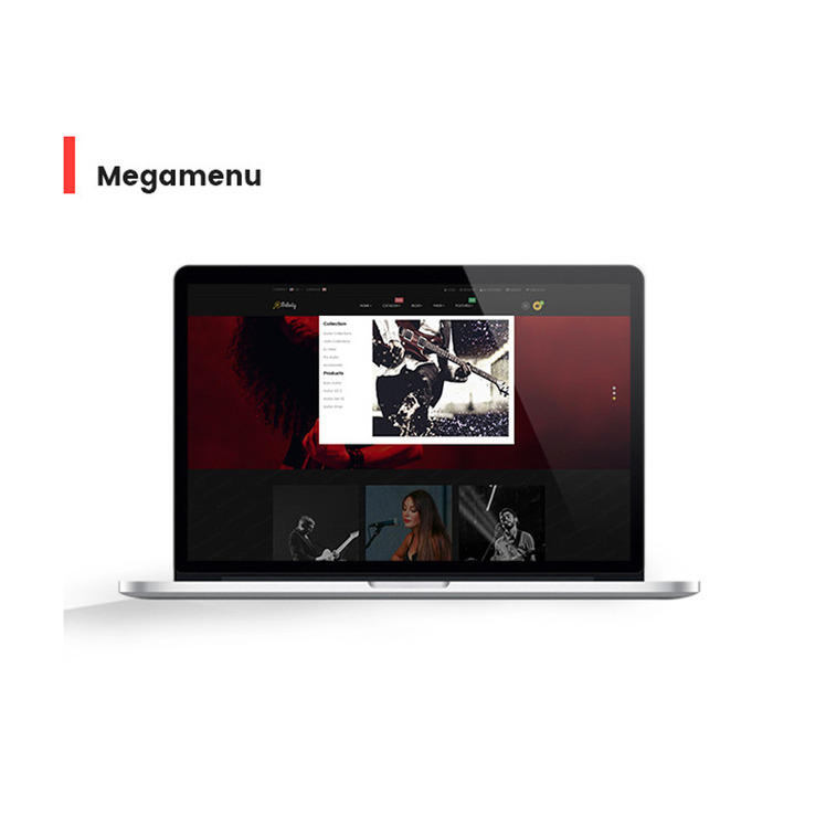 Tune Acoustic Instruments Shopify Theme #189487