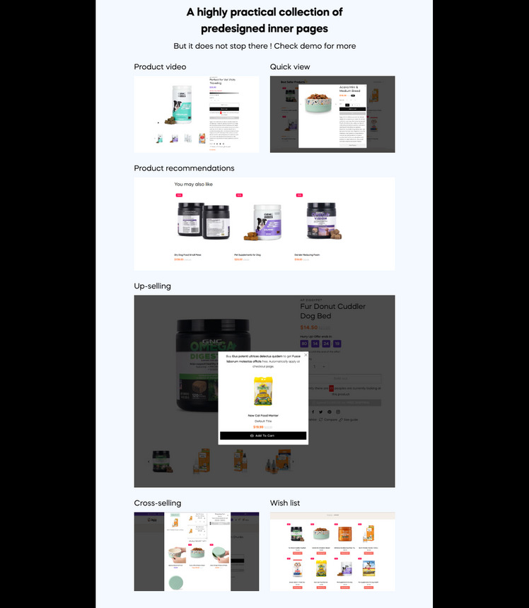 TM Ziggypet Pet Care Pet Shop Shopify Theme #266492