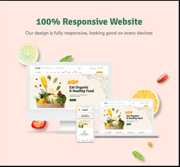 TM Ecolive Organic Food Shopify Theme #260712