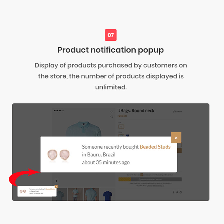 Young Lifestyle Fashion Shopify Theme #187512
