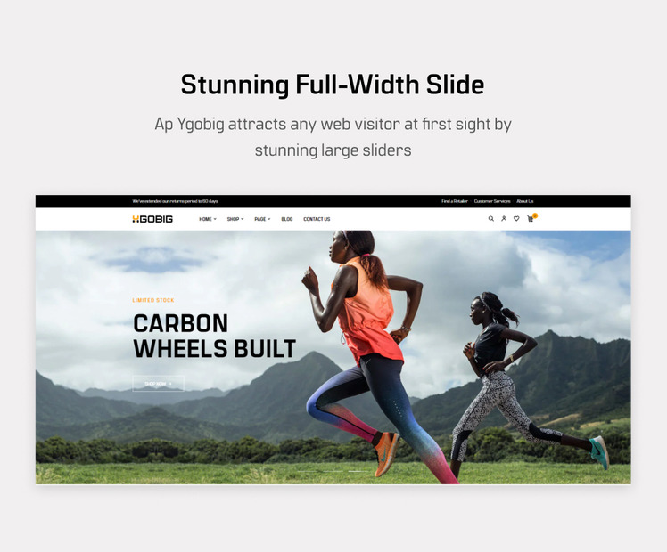 Ap Ygobig Fashion And Sport Accessories Shopify Theme #374452
