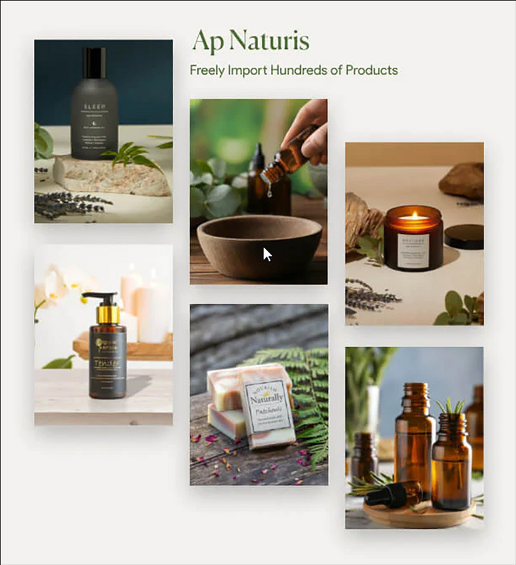 TM Naturis Handmade Store Shopify Theme #260713