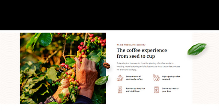 Ap Shopiowine Coffee Winery Tea Shopify Theme #261273