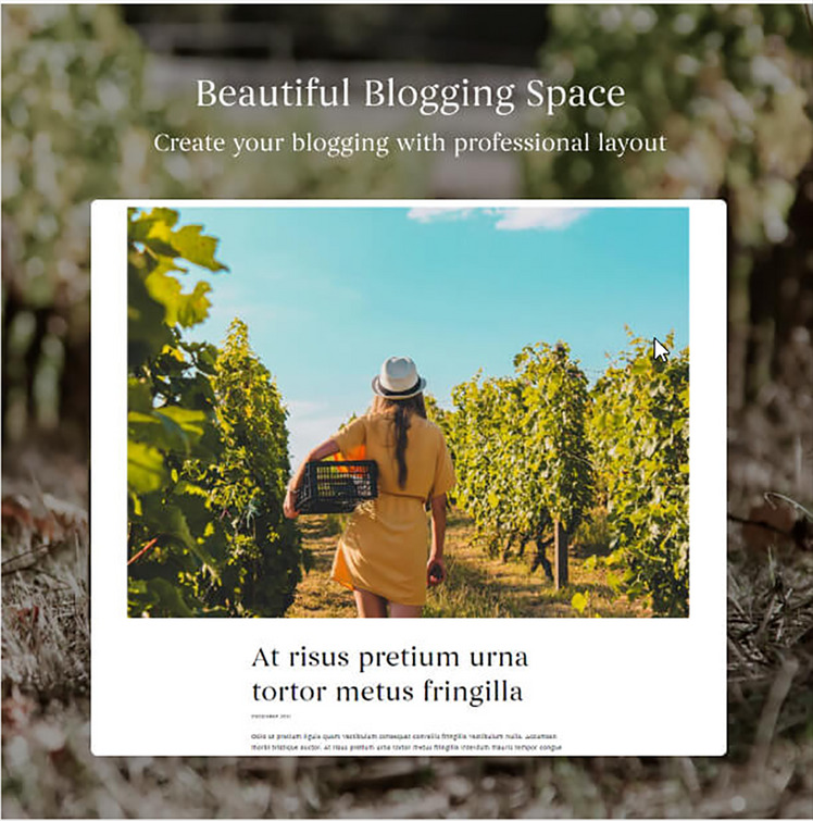 TM Bodoni Wine House Winery Restaurant Shopify Theme #261998