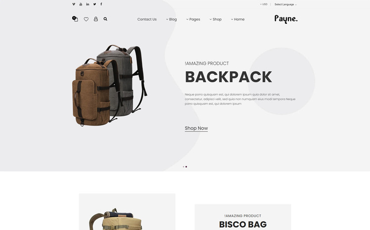 Payne Backpack eCommerce Shopify Theme #189871