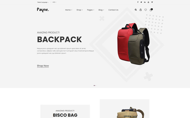 Payne Backpack eCommerce Shopify Theme #189871