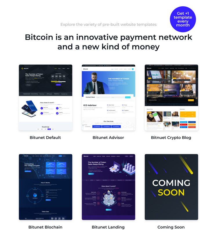 Bitunet - Cryptocurrency WordPress Elementor Theme WordPress Theme #64787