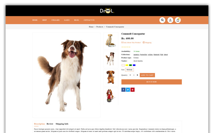Drool Store Shopify Theme #199454
