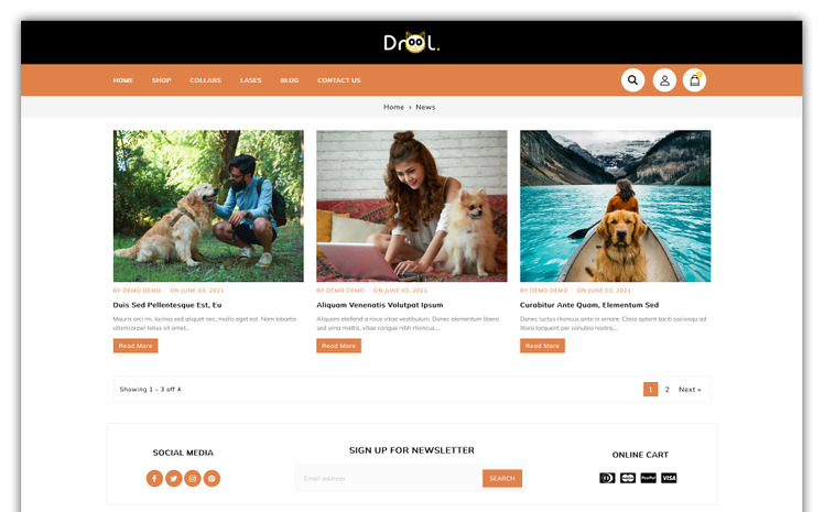 Drool Store Shopify Theme #199454