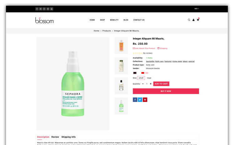 Blossom Store Shopify Theme #198899