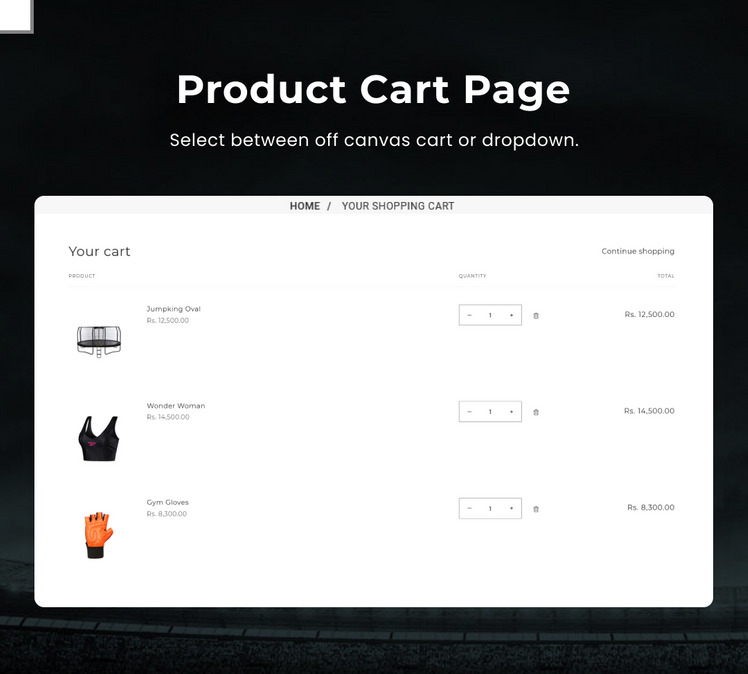 Sport Vibes Mega Sports Shopify Premium Responsive Theme #284756-12