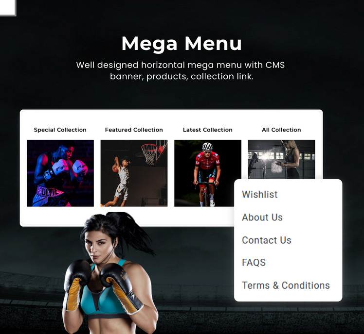 Sport Vibes Mega Sports Shopify Premium Responsive Theme #284756-7