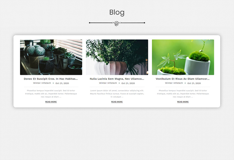 Plantish Gardening Houseplants Shopify Template #175840