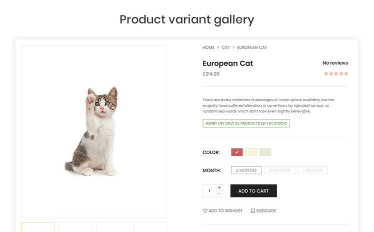 Apets The Pets Animal Premium Shopify Theme #293465
