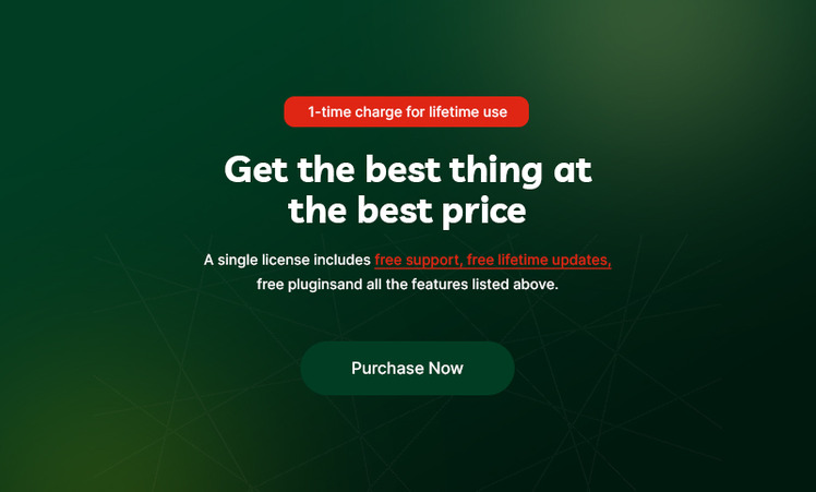 Barbeque BBQ Meat Food Multipurpose Shopify Responsive Theme #370613-19