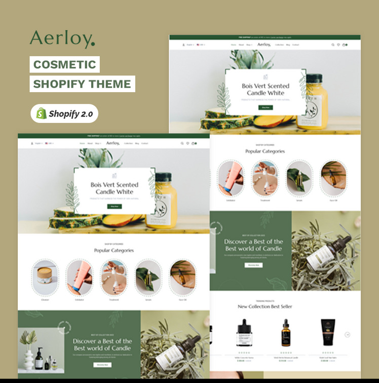 Aerloy Cosmetic Accessory High level Shopify Multi purpose Responsive Theme #403008-1