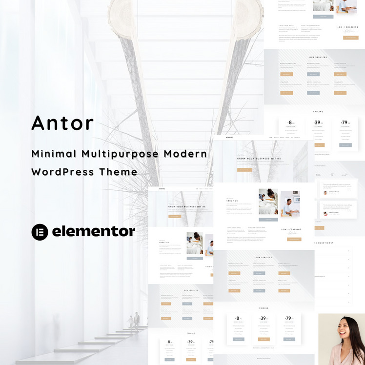 Antor - Minimalist Portfolio One Page WordPress Theme #389116